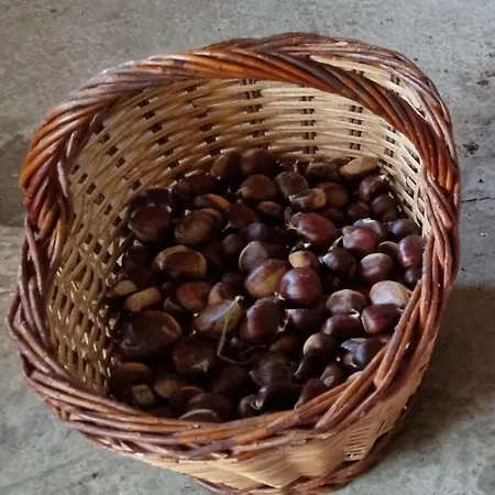 Ca La Pauleta Sant Hilari Sacalm