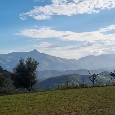 Ca La Pauleta Tatil Evi